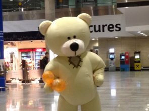 Медведь Тедди встречает гостей в Аэропорту