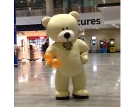 МедведКо Встречает гостей в аэропорту